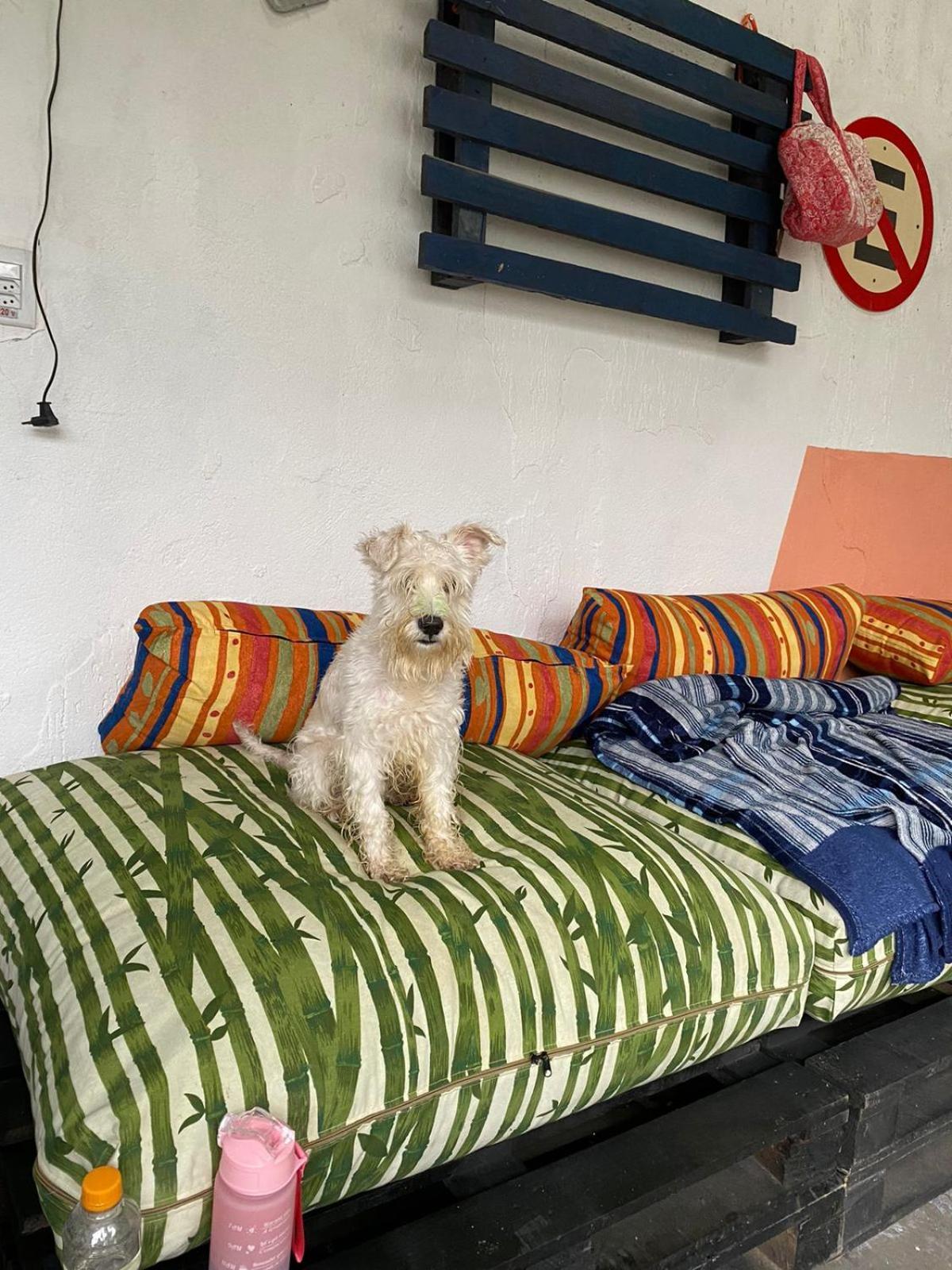 Casa Cantinho Secreto Casa de Férias *